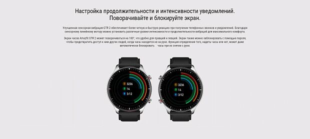 Смарт-часы Amazfit GTR 2 A1952 Classic Edition (Black) RU - 14